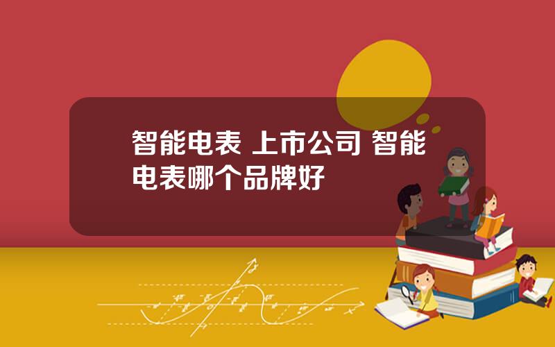 智能电表 上市公司 智能电表哪个品牌好